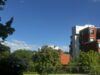 Platz an der Sonne schöner Grundriss -Vermietet! - Umgebung